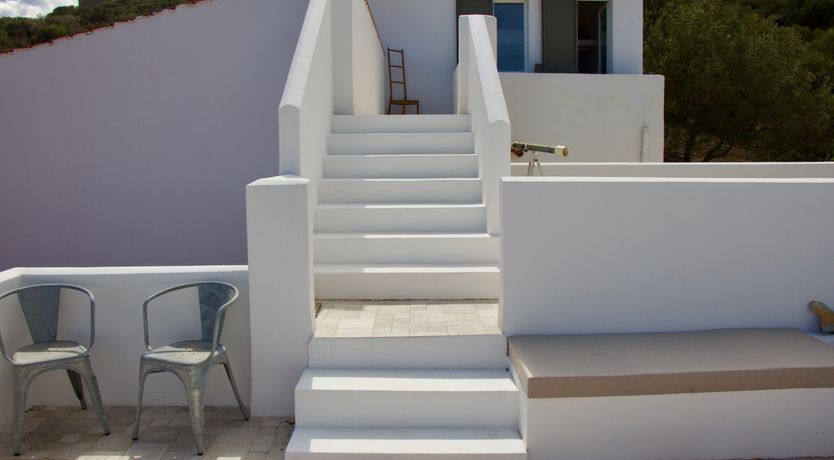 Photo of The Octopus