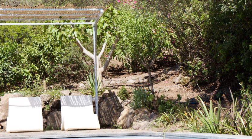 Photo of The Octopus