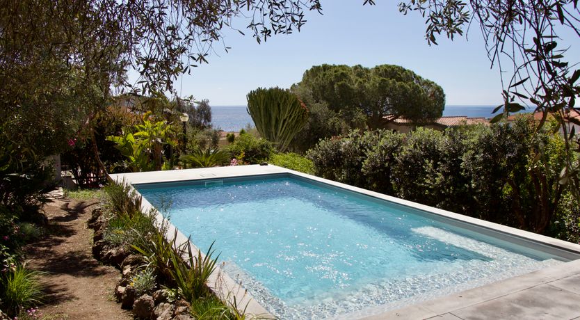 Photo of The Octopus