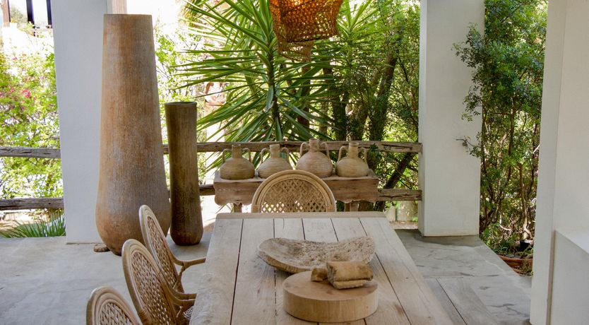 Photo of The Octopus