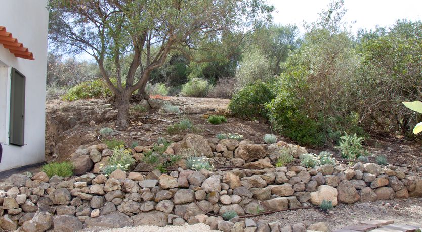 Photo of The Octopus