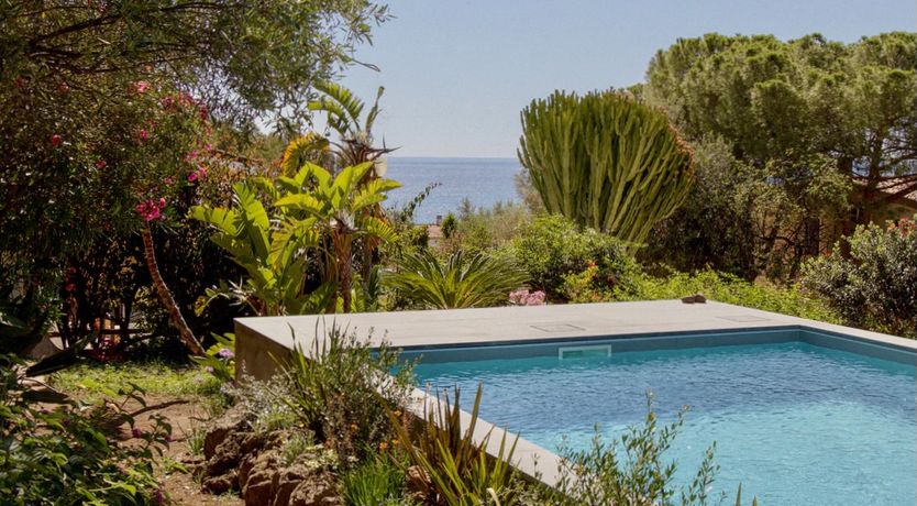 Photo of The Octopus