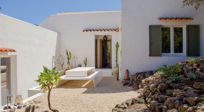 Photo of The Octopus