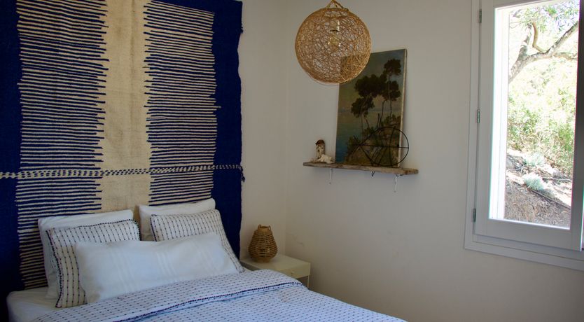 Photo of The Octopus