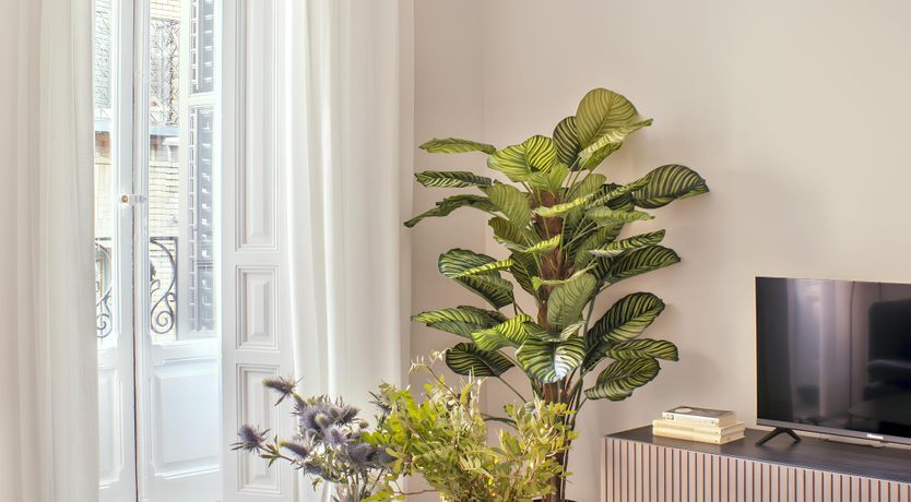 Photo of Amber Thistle