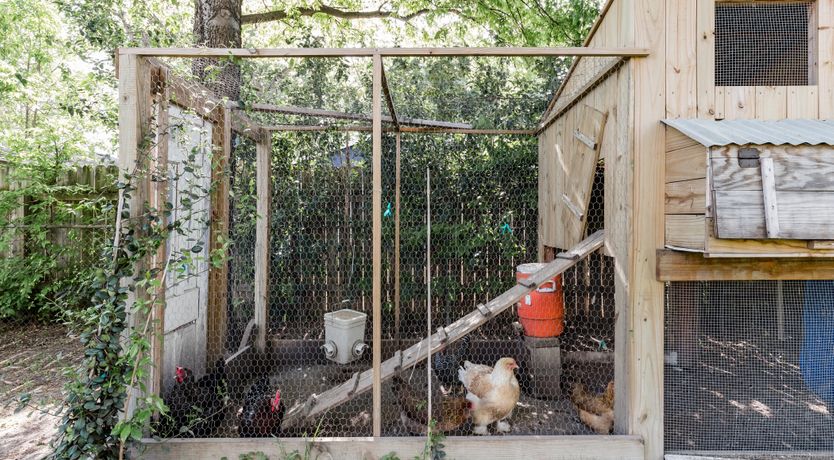 Photo of Easy Austin