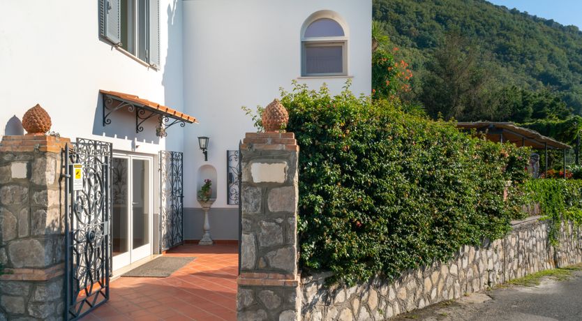 Photo of Aurora's Light