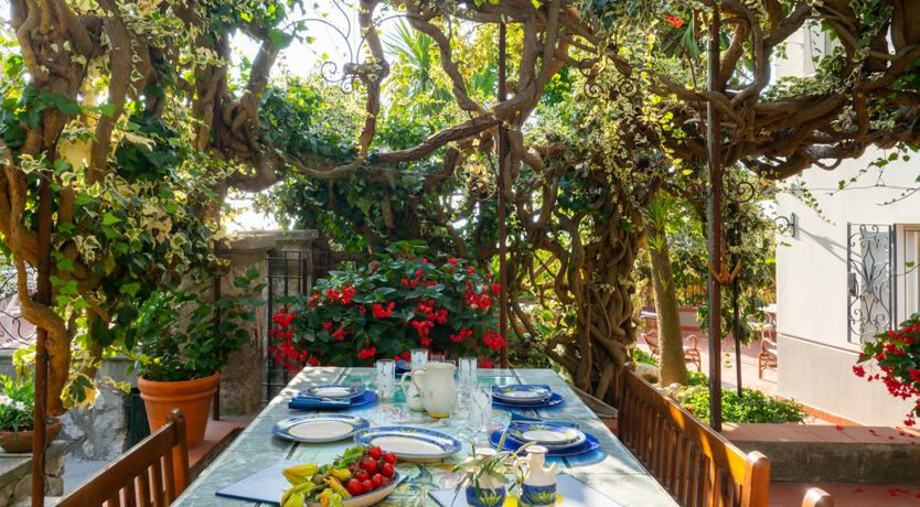 Photo of Aurora's Light