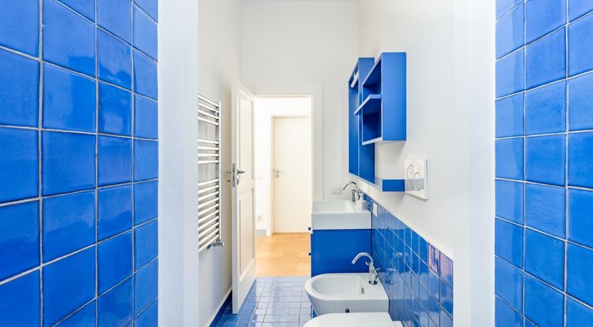 Photo of Aurora's Light