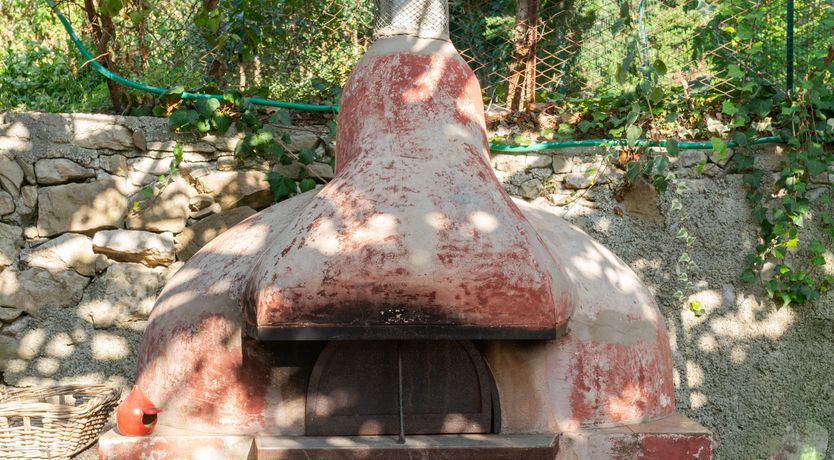 Photo of Aurora's Light