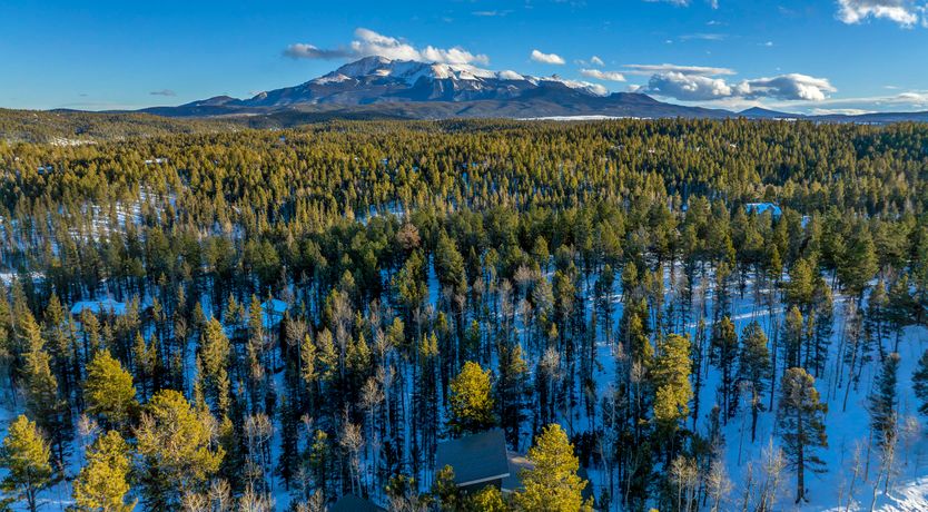 Photo of Treasure in the Wilds