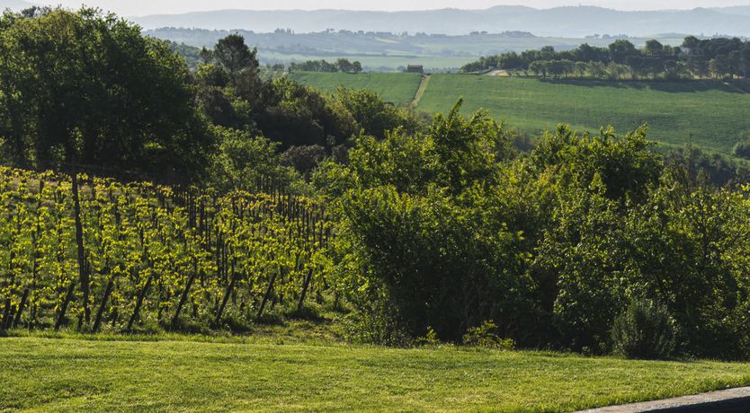 Photo of Il Belvedere