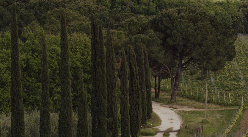 Photo of Il Belvedere