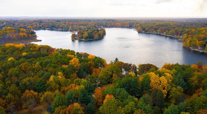 Photo of Lakeshore Landscape