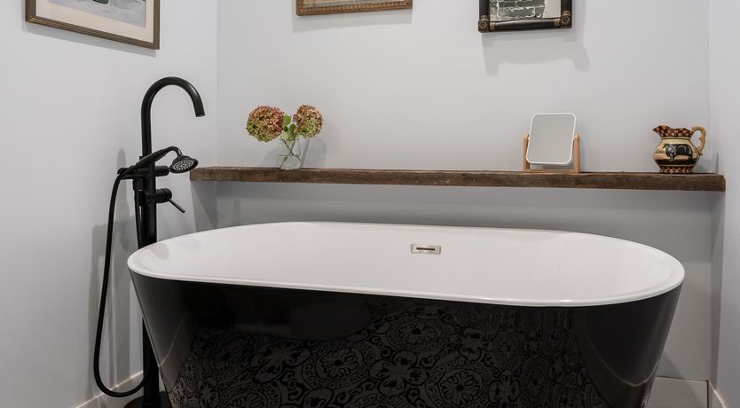 Photo of Lakeshore Landscape