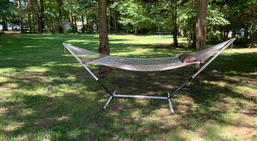 Photo of Lakeshore Landscape