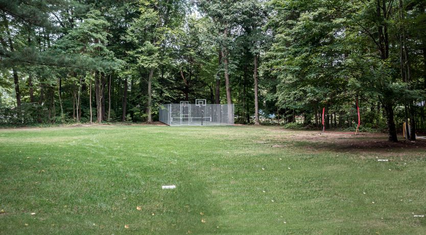 Photo of Lakeshore Landscape