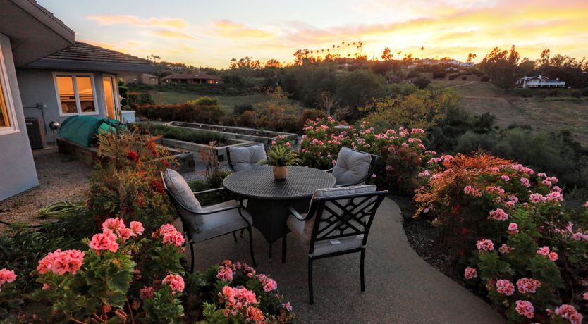 Photo of Field & Sky