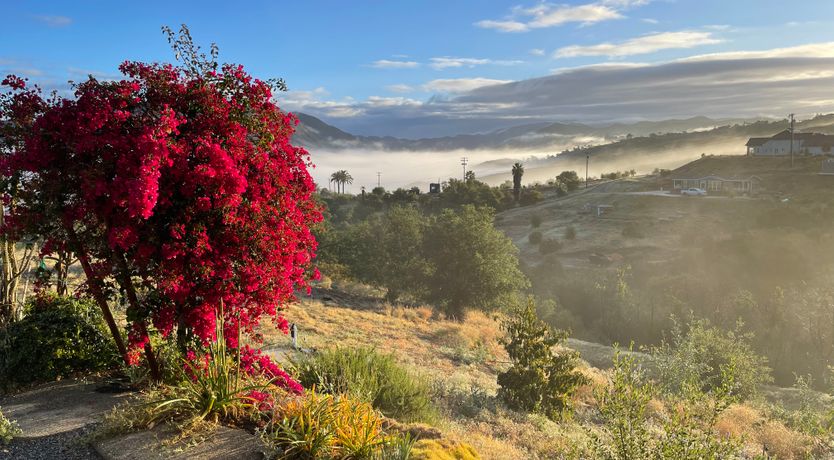 Photo of Field & Sky