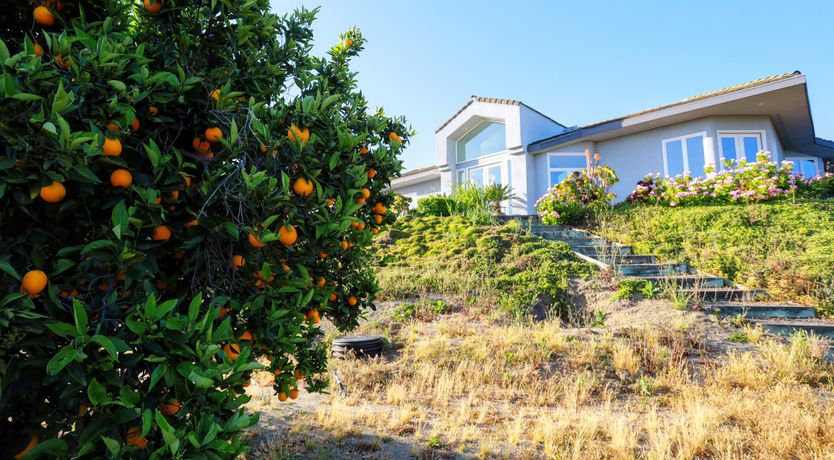 Photo of Field & Sky