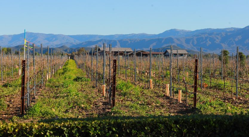 Photo of Field & Sky