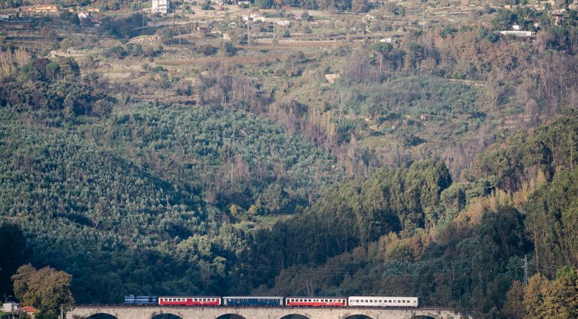 Photo of Pearl of the Valley