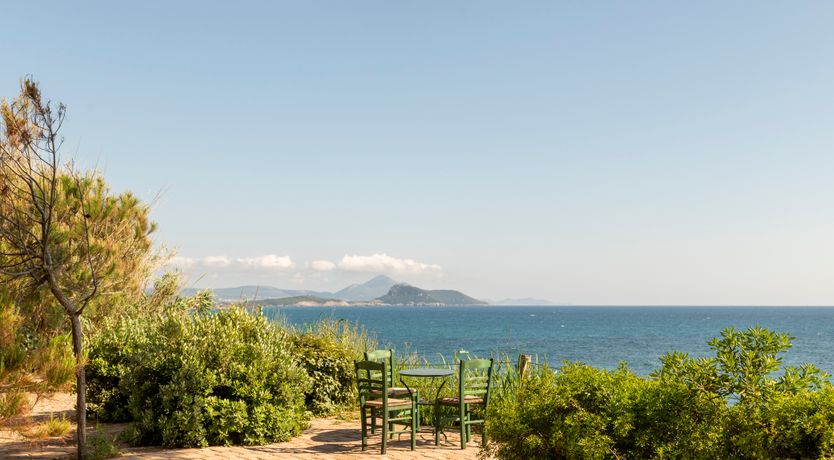 Photo of Olives & Sunbeams