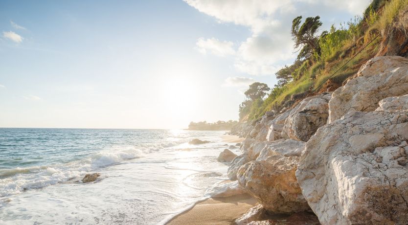 Photo of Olives & Sunbeams