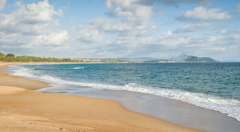 Photo of Olives & Sunbeams