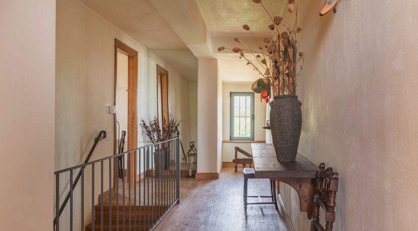 Photo of Olives & Sunbeams