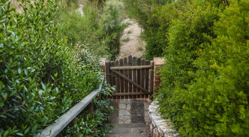 Photo of Olives & Sunbeams