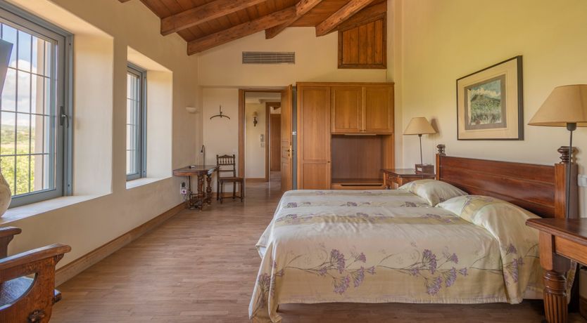 Photo of Olives & Sunbeams