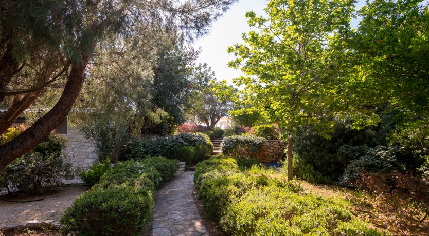 Photo of Olives & Sunbeams