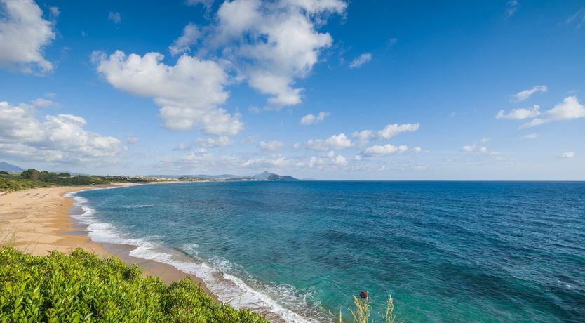 Photo of Olives & Sunbeams