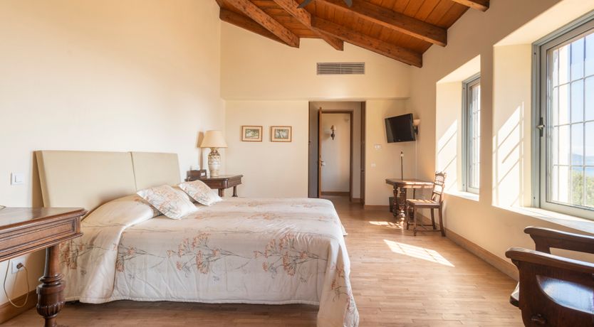 Photo of Olives & Sunbeams