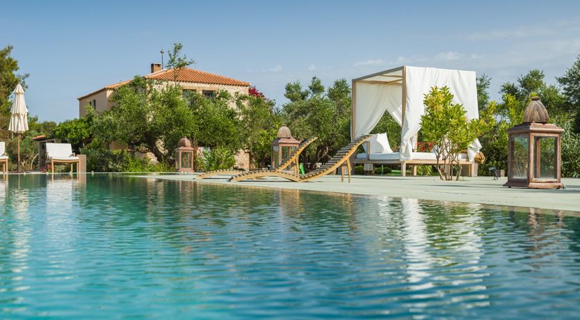 Photo of Olives & Sunbeams