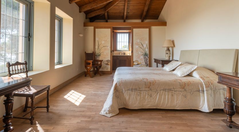 Photo of Olives & Sunbeams