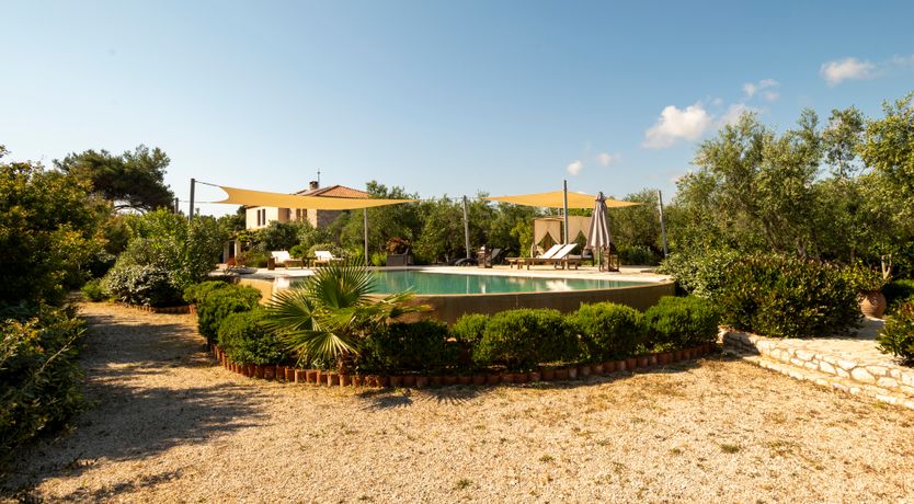 Photo of Olives & Sunbeams