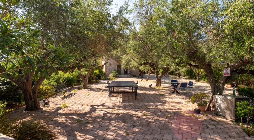 Photo of Olives & Sunbeams