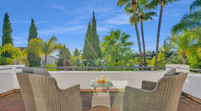 Photo of Build a Throne