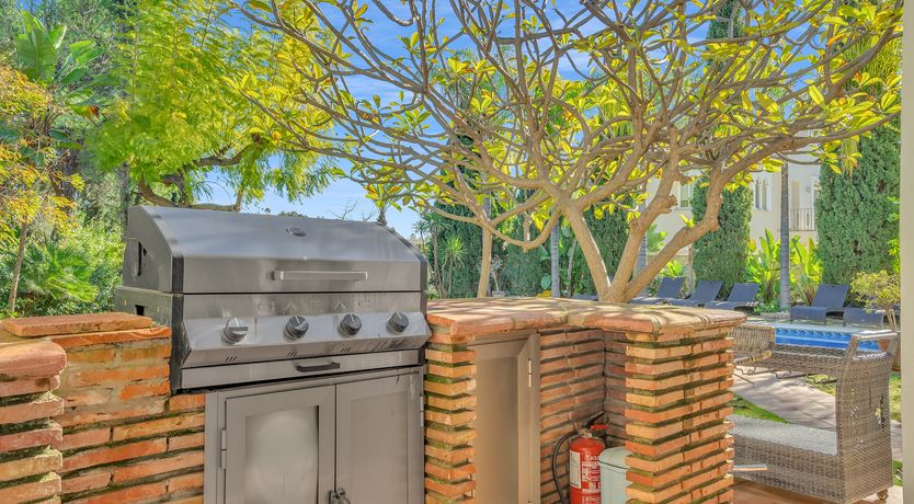 Photo of Build a Throne