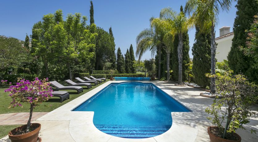 Photo of Build a Throne