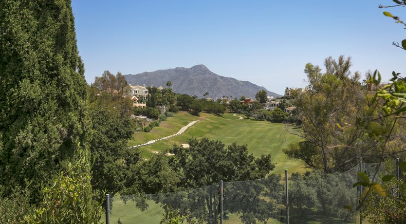 Photo of Build a Throne