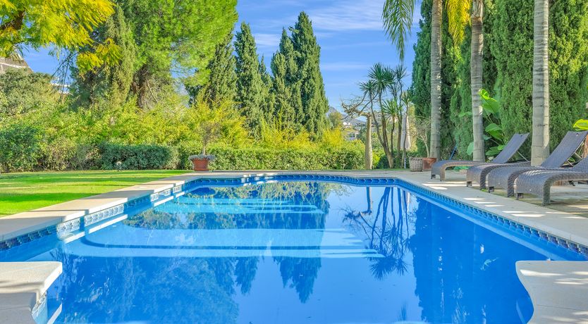 Photo of Build a Throne