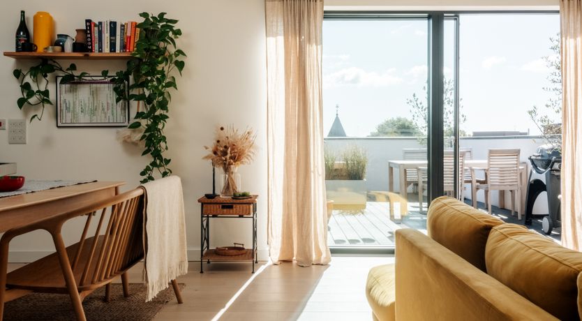 Photo of Modern Marigold