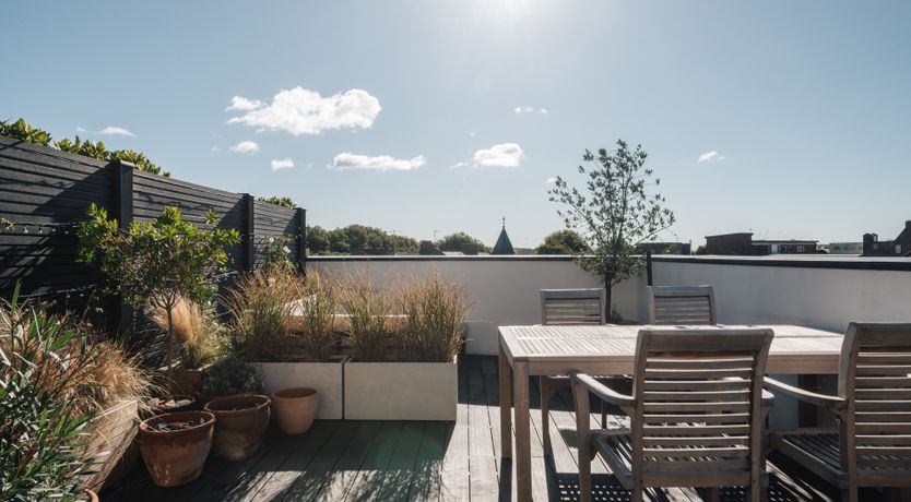 Photo of Modern Marigold