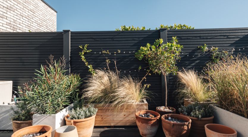 Photo of Hackney Rooftop Retreat