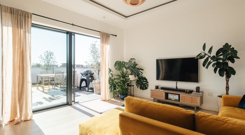 Photo of Modern Marigold