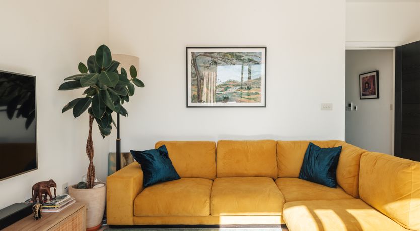 Photo of Modern Marigold