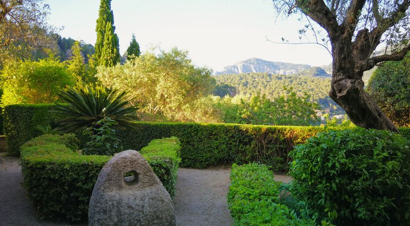 Photo of The Citrus House